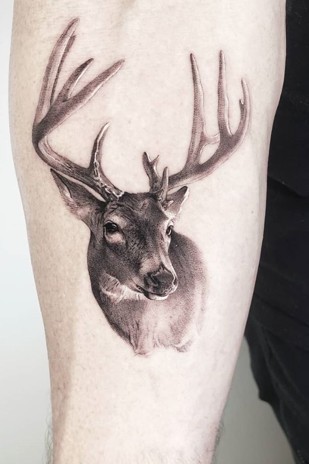 Awesome Deer Tattoo